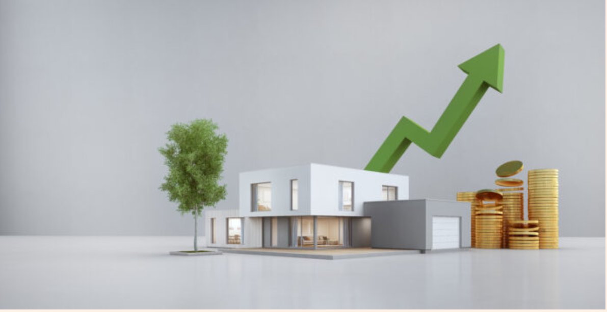 How a Trusted Real Estate Agency Can Help You Buy a Plot